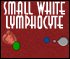 Small White Lymphocyte